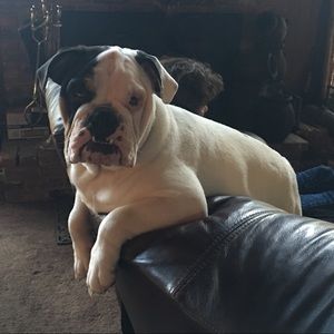 Meet your Posher, Wesley